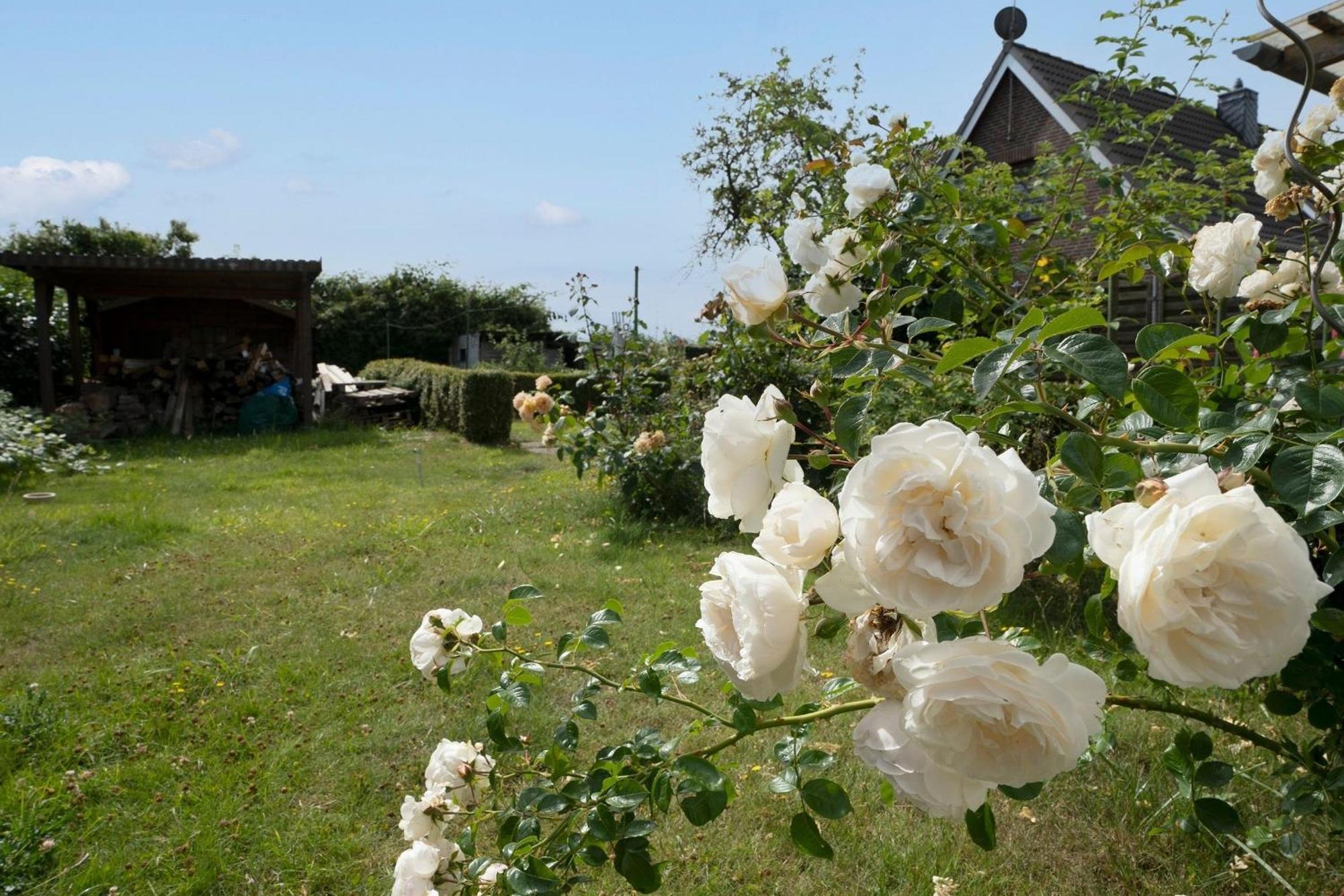 Haus Waldfrieden Ferienhaeuschen Waldfrieden Lägenhet Haffkrug Exteriör bild